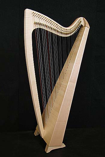 Clairseach, la harpe irlandaise, aux origines de la harpe celtique (livre)